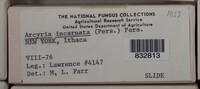 Image Associated With the Occurence